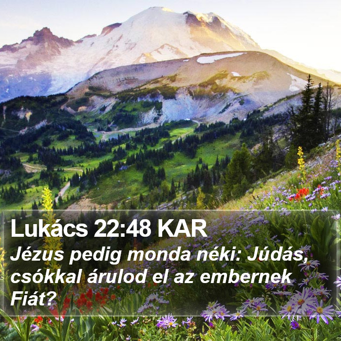 Lukács 22:48 KAR Bible Study