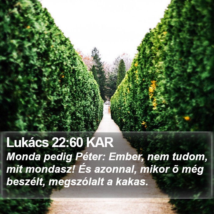 Lukács 22:60 KAR Bible Study