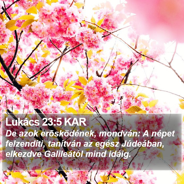 Lukács 23:5 KAR Bible Study