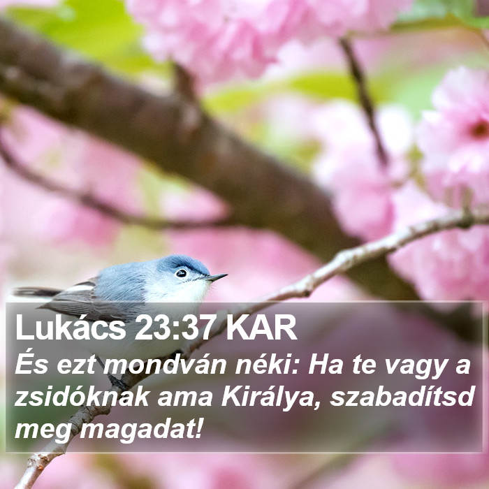 Lukács 23:37 KAR Bible Study