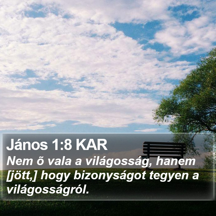 János 1:8 KAR Bible Study