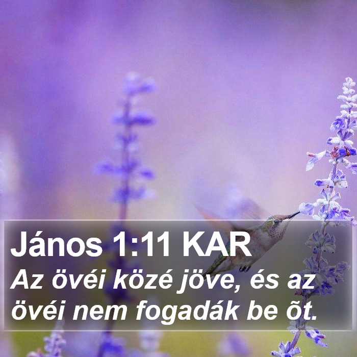 János 1:11 KAR Bible Study