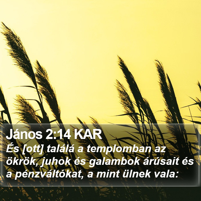 János 2:14 KAR Bible Study