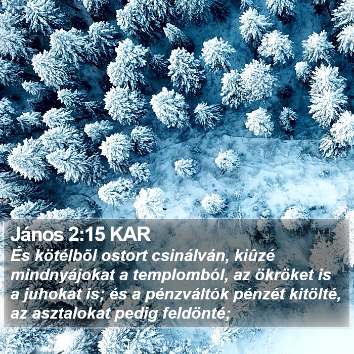 János 2:15 KAR Bible Study