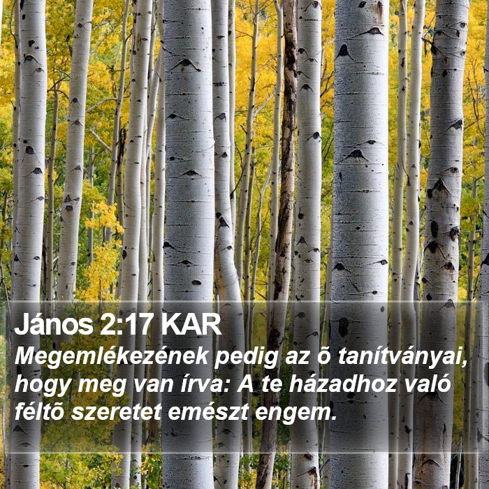 János 2:17 KAR Bible Study