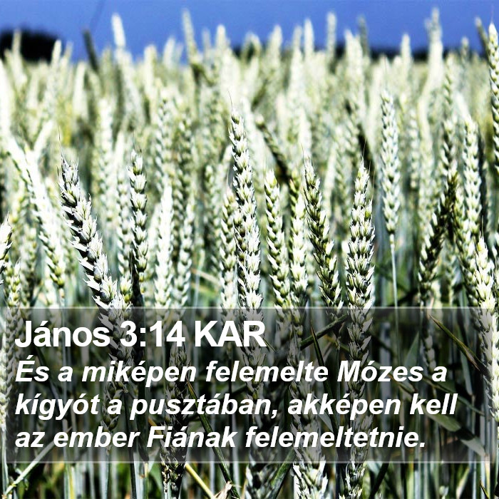 János 3:14 KAR Bible Study