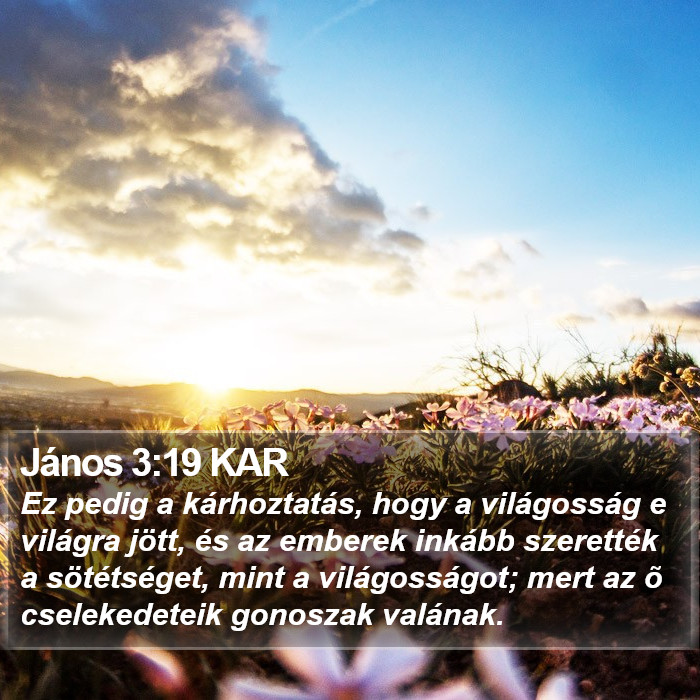 János 3:19 KAR Bible Study