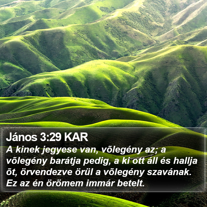 János 3:29 KAR Bible Study