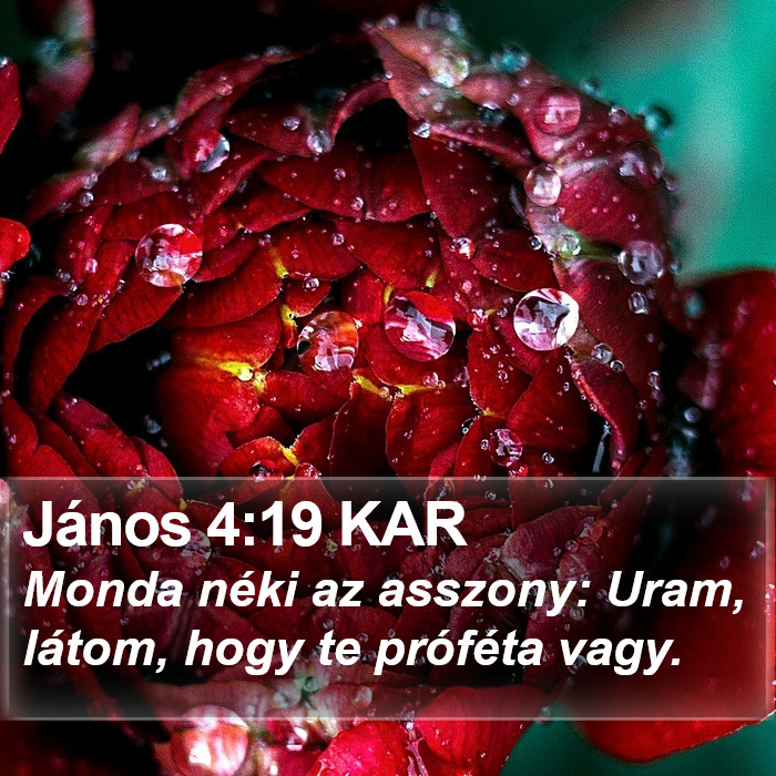 János 4:19 KAR Bible Study