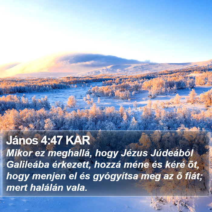 János 4:47 KAR Bible Study