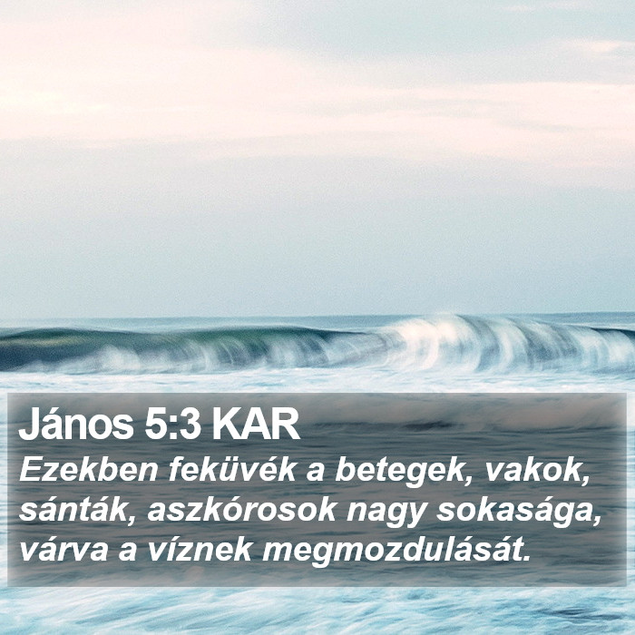 János 5:3 KAR Bible Study