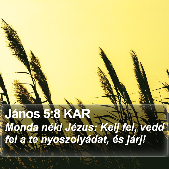 János 5:8 KAR Bible Study