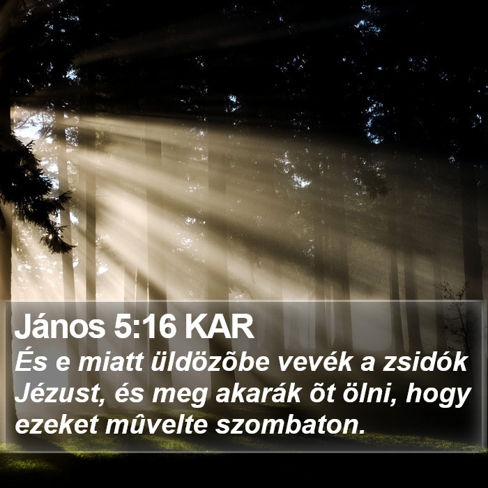 János 5:16 KAR Bible Study