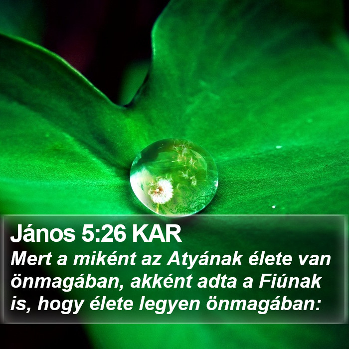 János 5:26 KAR Bible Study