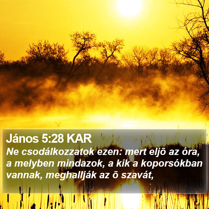 János 5:28 KAR Bible Study