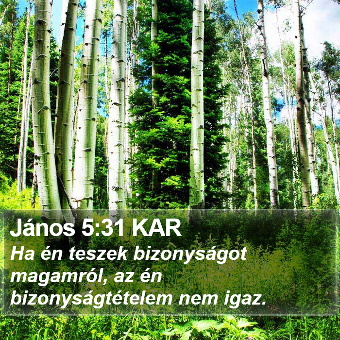 János 5:31 KAR Bible Study