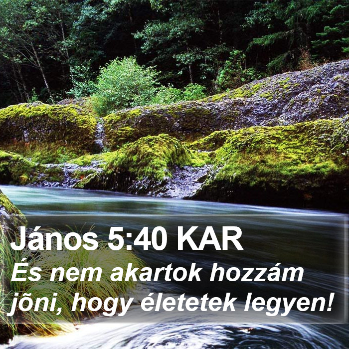 János 5:40 KAR Bible Study