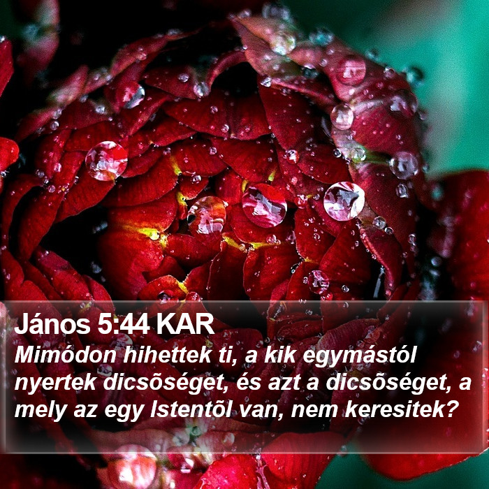 János 5:44 KAR Bible Study