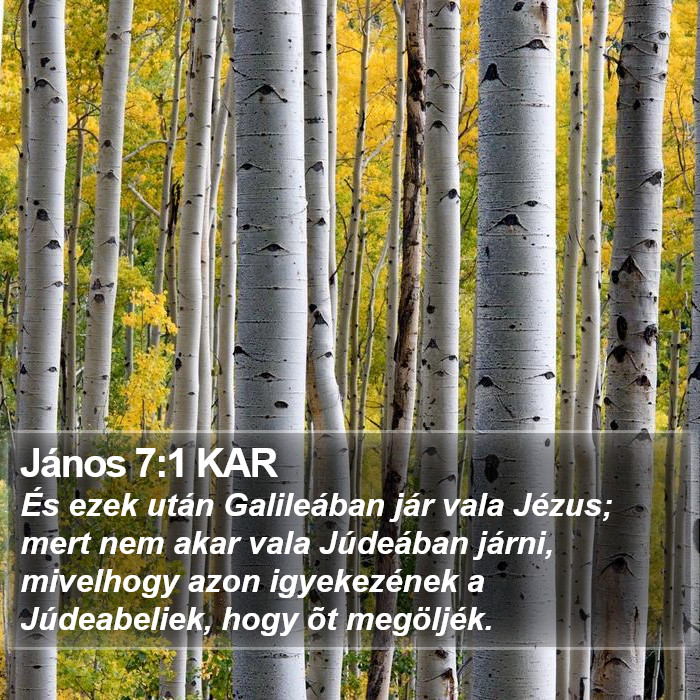 János 7:1 KAR Bible Study