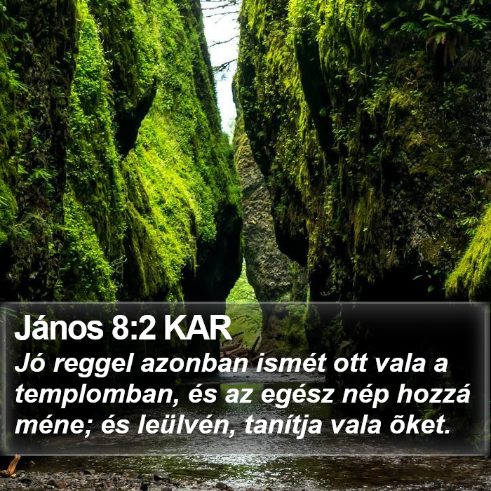 János 8:2 KAR Bible Study