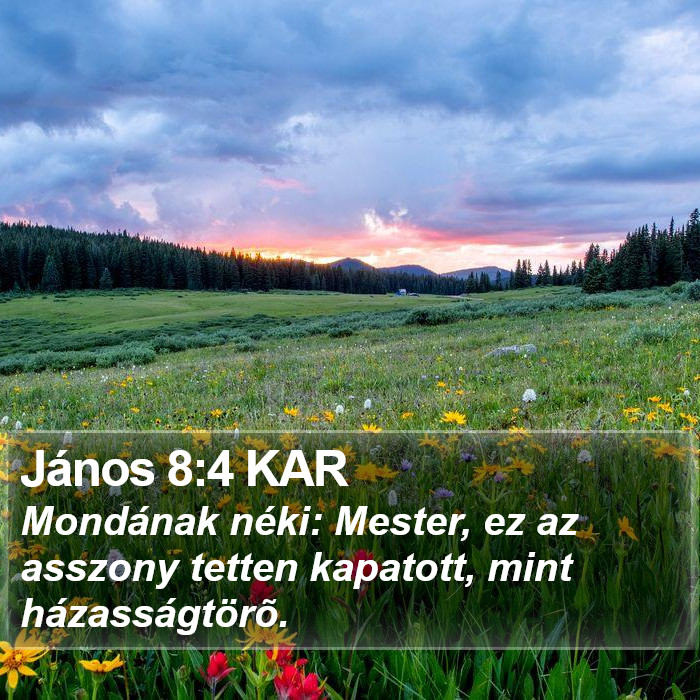 János 8:4 KAR Bible Study