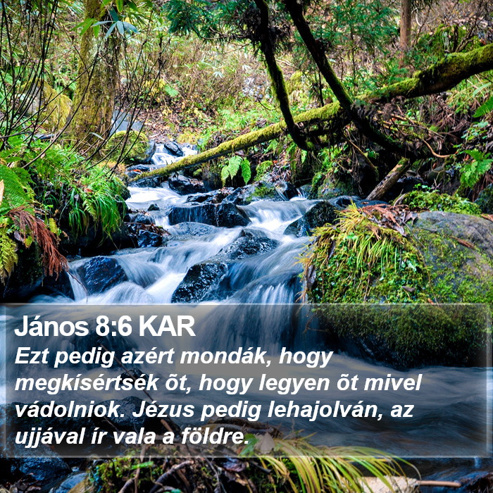 János 8:6 KAR Bible Study