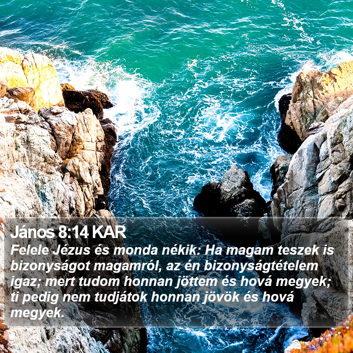 János 8:14 KAR Bible Study