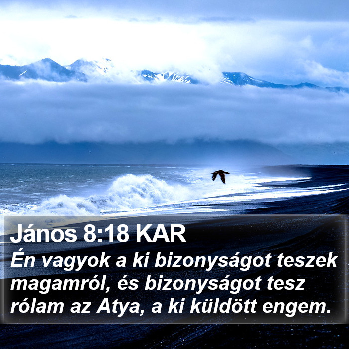 János 8:18 KAR Bible Study