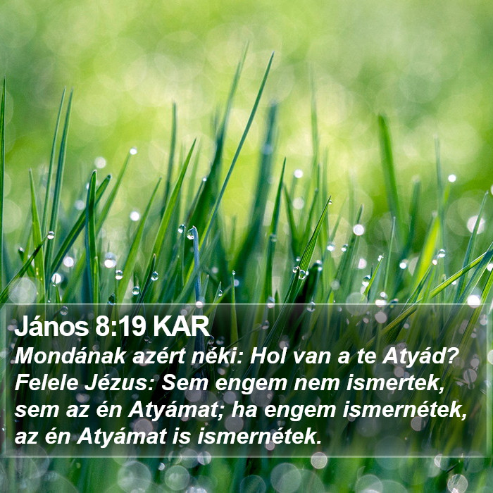 János 8:19 KAR Bible Study