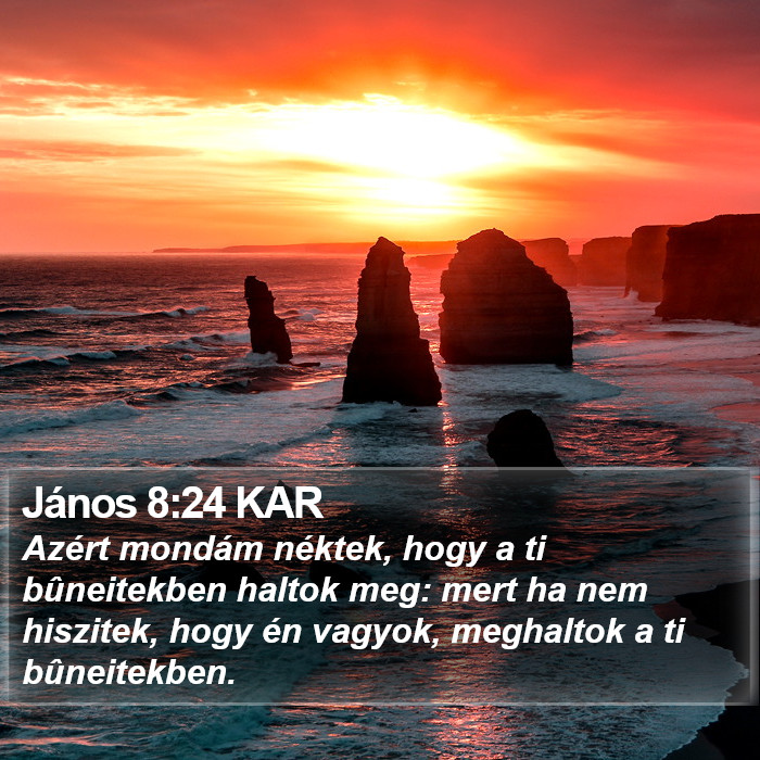 János 8:24 KAR Bible Study