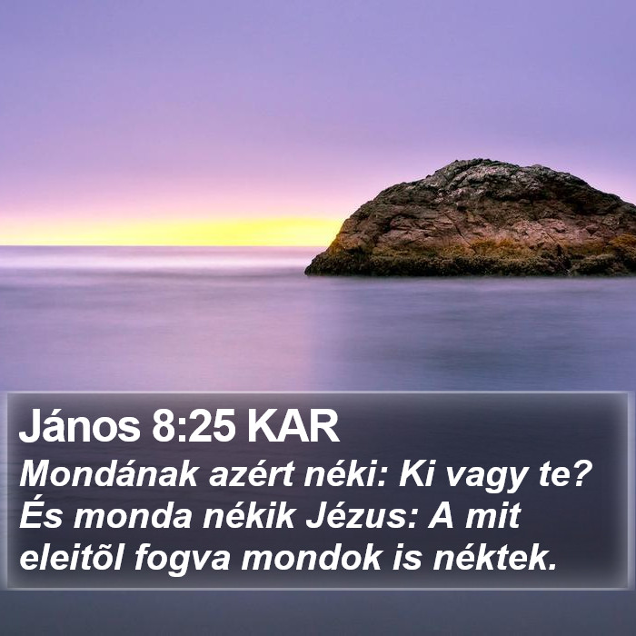 János 8:25 KAR Bible Study