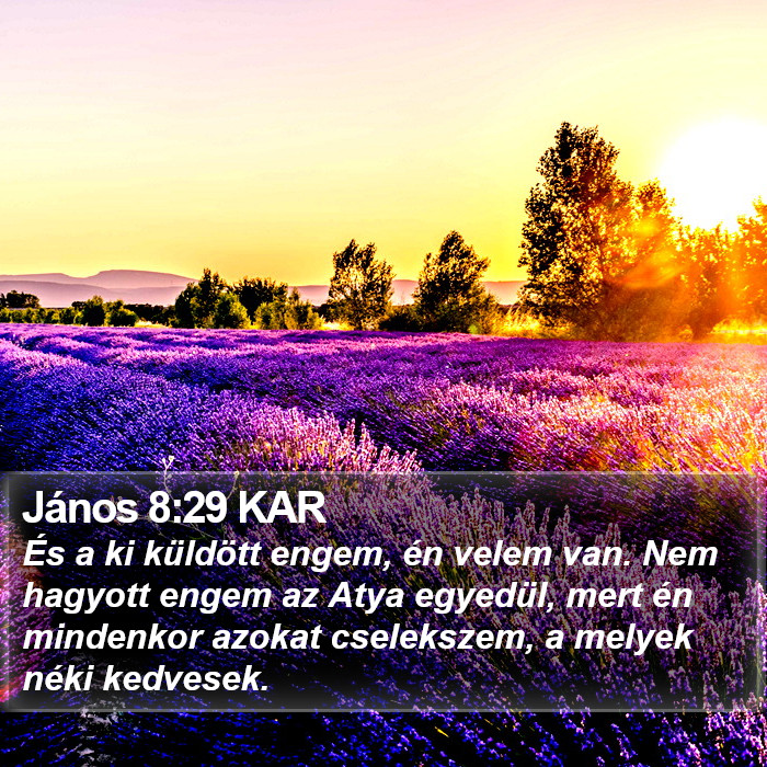 János 8:29 KAR Bible Study