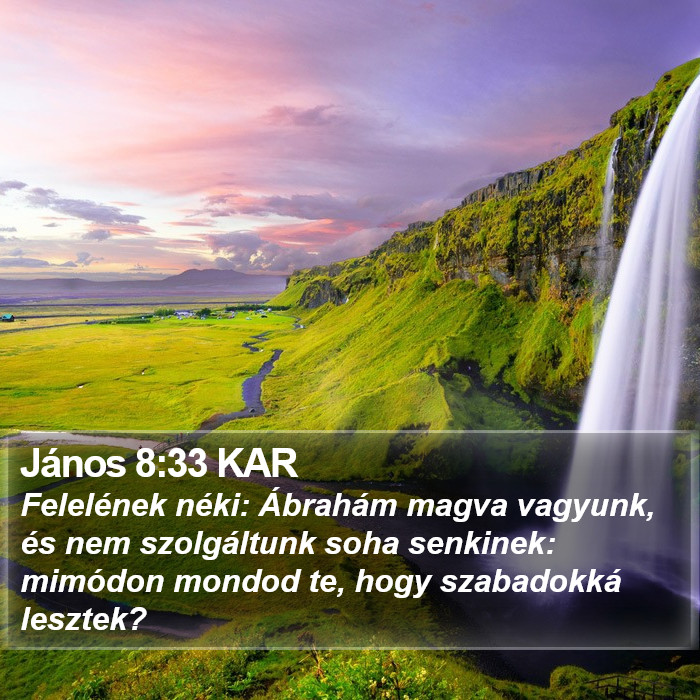 János 8:33 KAR Bible Study