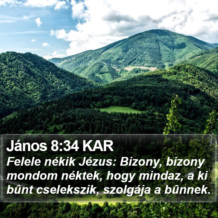 János 8:34 KAR Bible Study