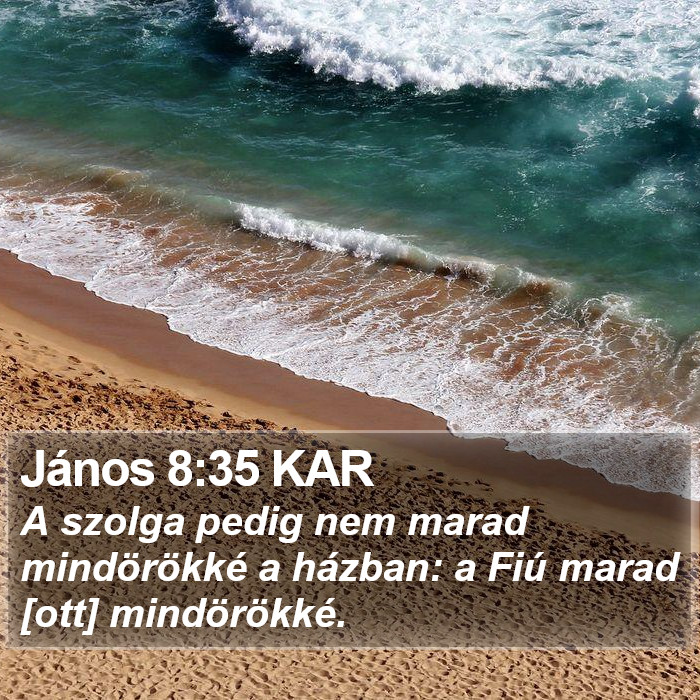 János 8:35 KAR Bible Study