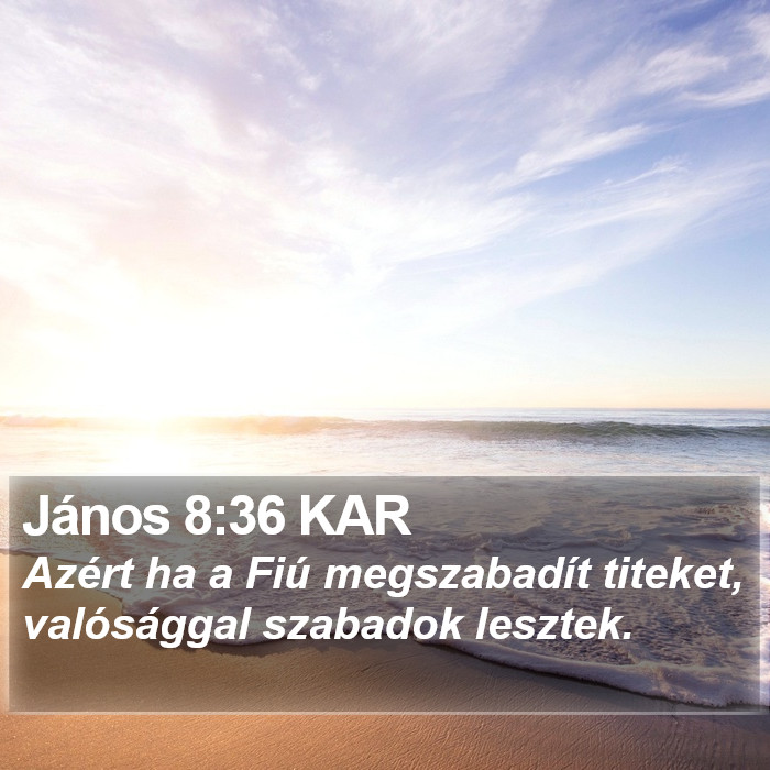 János 8:36 KAR Bible Study