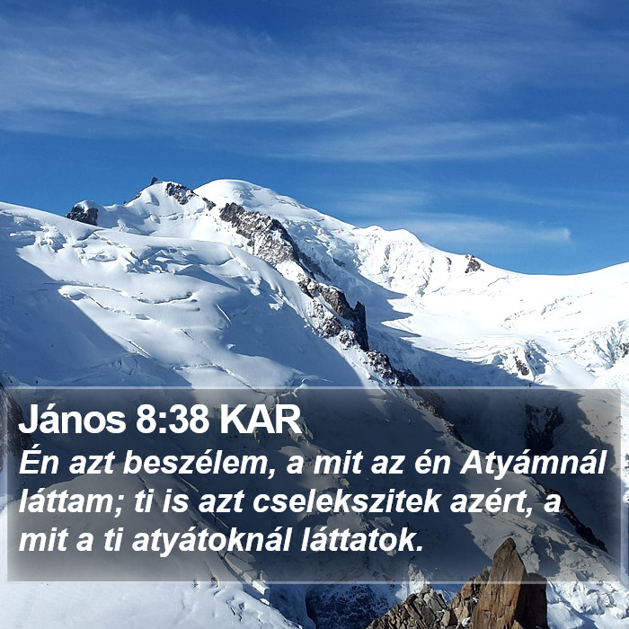 János 8:38 KAR Bible Study