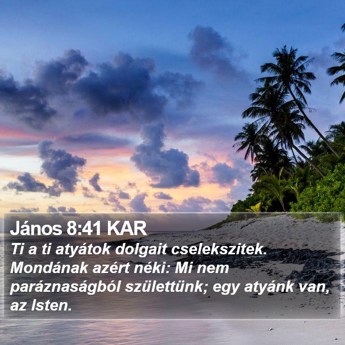 János 8:41 KAR Bible Study