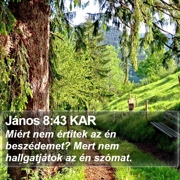 János 8:43 KAR Bible Study