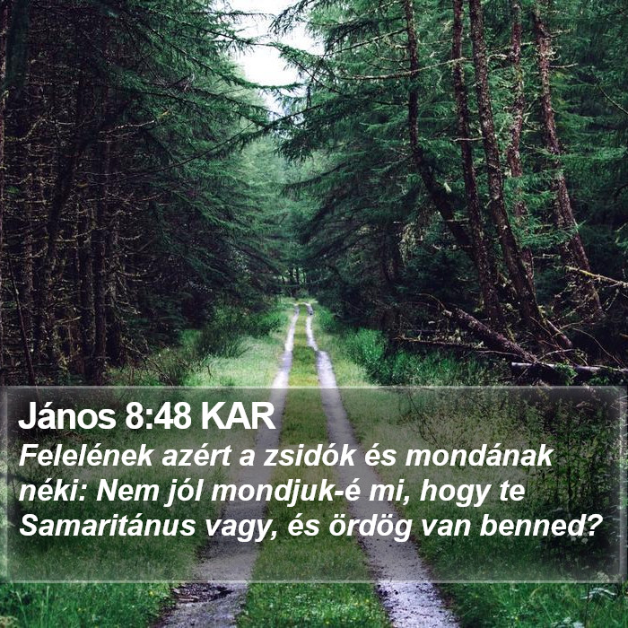 János 8:48 KAR Bible Study