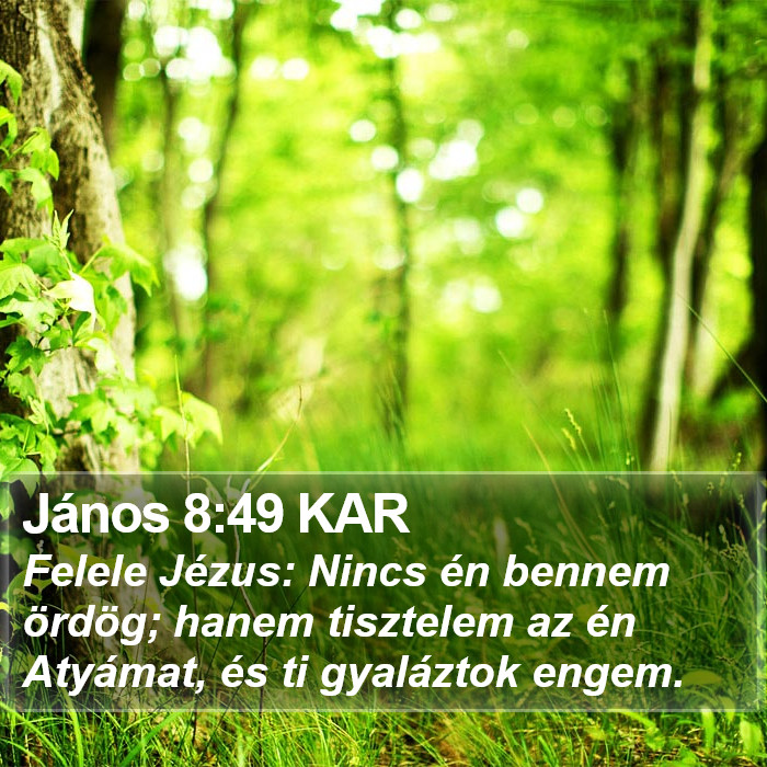 János 8:49 KAR Bible Study