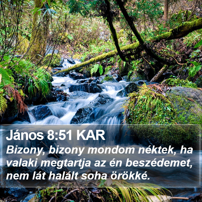 János 8:51 KAR Bible Study