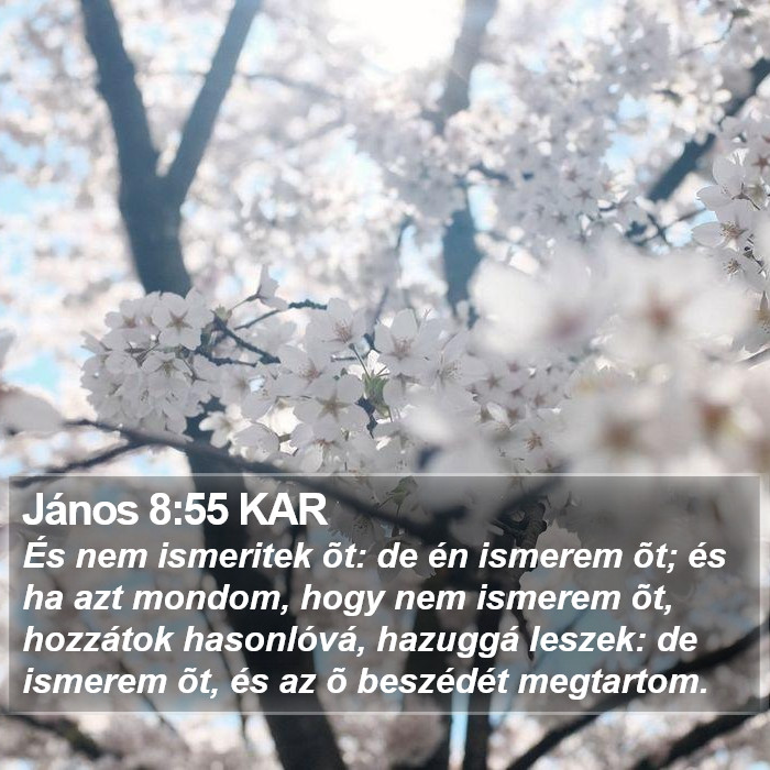 János 8:55 KAR Bible Study