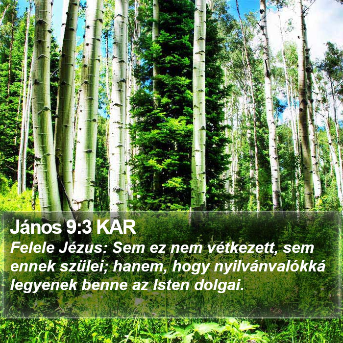 János 9:3 KAR Bible Study