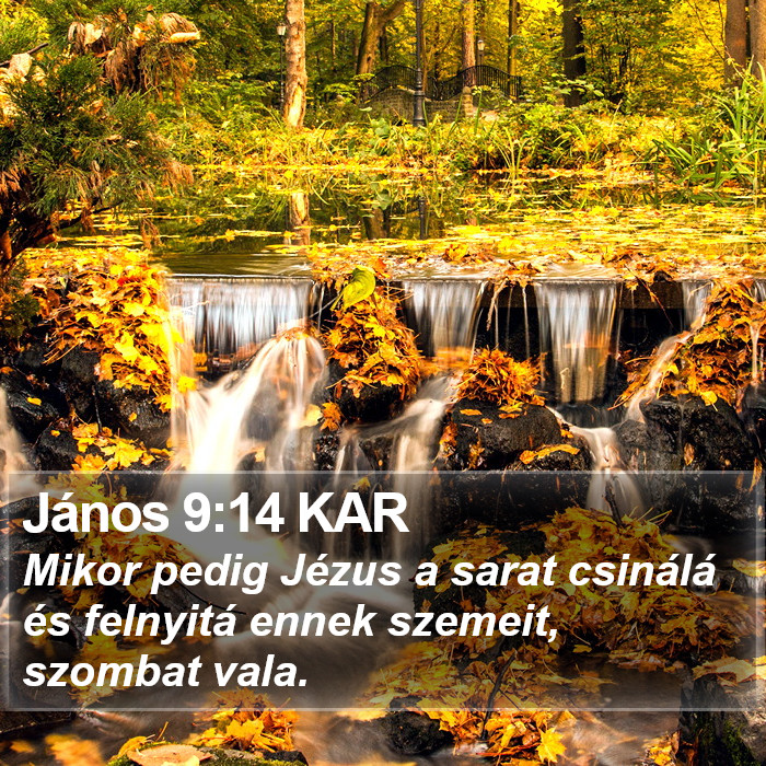 János 9:14 KAR Bible Study