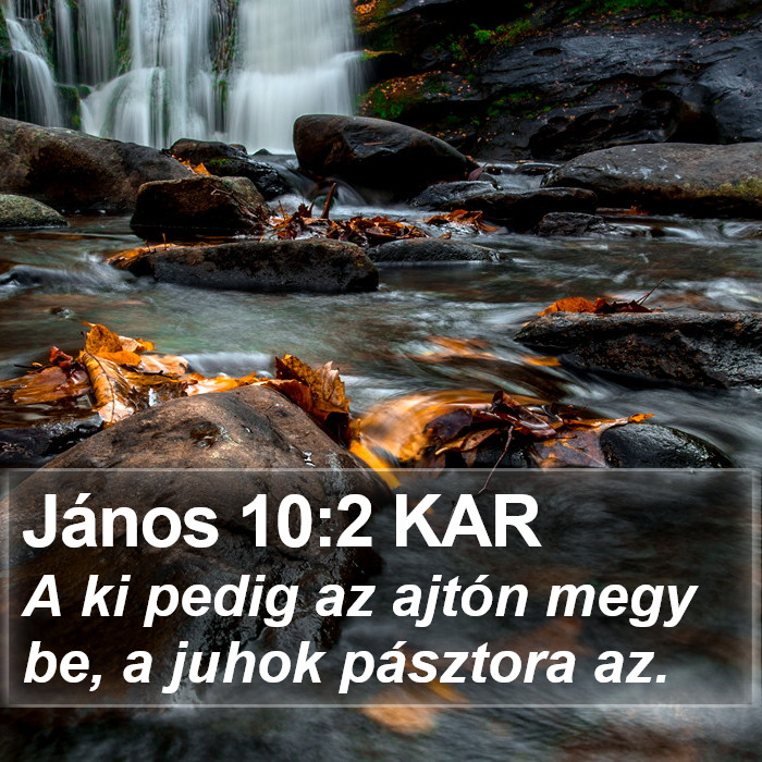 János 10:2 KAR Bible Study