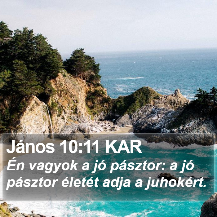 János 10:11 KAR Bible Study