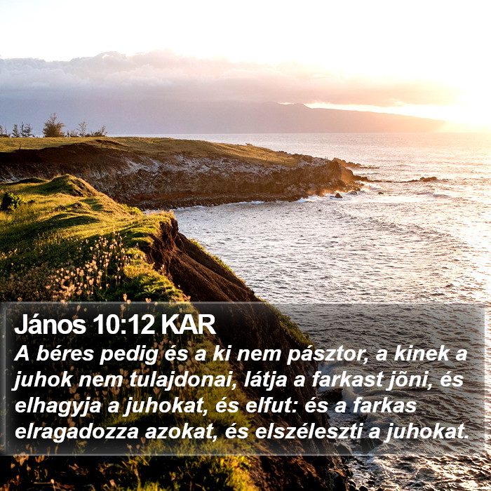 János 10:12 KAR Bible Study