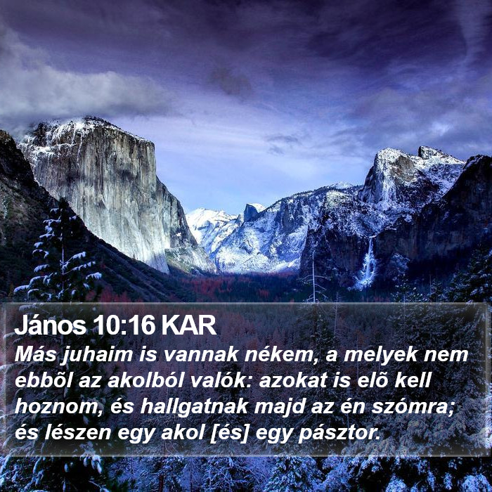János 10:16 KAR Bible Study