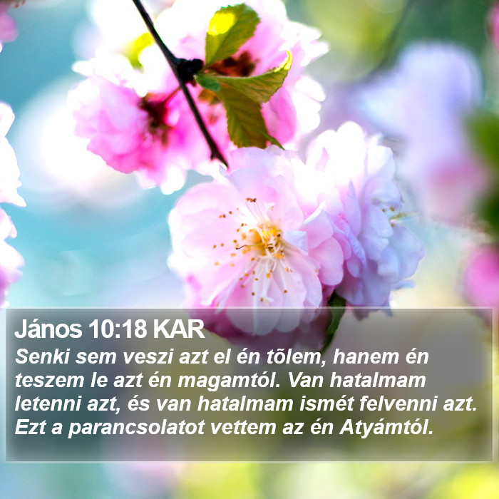 János 10:18 KAR Bible Study